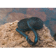 Crua Outdoors Tree Straps, Black/Blue, TS-01