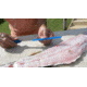 Cuda AquaTuff Fillet Knife with Blade Cover, Blue, 6in, 23045