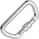 Cypher D Screw Gate Carabiner
