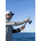 Daiwa Freams LT 4/340, 6/220 Spinning Fishing Reel