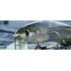 Daiwa HMKL Minnow Steez Custom Jerkbaits Lure, 5.4in, 4/7oz, Ghost Ayu, HM137SPK4