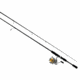 Daiwa REVROS REV FW SPIN PMC REV30-4BI/G902LSS