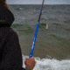 Daiwa Tournament Ballistic Rod w/Blank Only, 13ft, Heavy, Fast, 1 Piece, TNMTSF13HFS-B