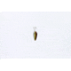 Dardevle Lilft Devle Spoon, 1 1/8in, 1/8oz, Brown Trout, Hammered Brass Back, 1307