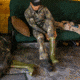 Darn Tough Hunting Boot Lightweight With Cushion Socks - Mens, Forest, Extra Large, 2108-FOREST-XL-DARN