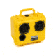 Demerbox DB2 Speakers, Paniman Yellow, DB2-1300-YLW