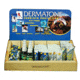 Dermatone White Pine Display W/5 Compart 2270WHD