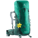 Deuter Aircontact Lite Womens Backpack 35 + 10 SL, Alpinegreen/Forest, 334001822310