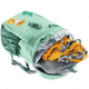 Deuter Forest Fox 14 Liters Bacpack - Kids