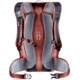 Deuter Race 16 W/2L Backpack, Chestnut/Redwood, 16 L, 320422395120