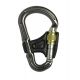 DMM Belay Master 2 Screw Gate Carabiner