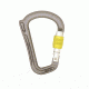 DMM Rhino Screwgate Carabiner, Titanium/Lime, A542