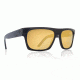 Dragon Viceroy Sunglasses-Black / Gold