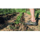 Dryshod Legend Camp Shoe - Mens, Moss/Grey, 9, LGD-MS-MS-009