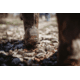 Dryshod Overland Hi Boot - Mens, Khaki/Timber, 10, OVR-MH-KH-010