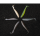 Duckett Fishing 4.5 Subtle Tail Soft Bait, 4.5in, White Pearl, MXST4.5 WP