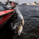 Duckett Fishing Sway Minnow Soft Bait