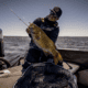 Duckett Fishing Sway Minnow Soft Bait