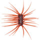 Duckett Fishing YEN Ashi Urchin Style Soft Bait