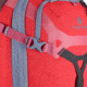 Eagle Creek Gear Warrior 4-Wheel 60L, Coral Sunset, 26 In, EC0A3XV4274