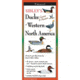 Earth Sky + Water Sibley's Ducks Geese Swan West DGW-126