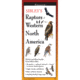 Earth Sky + Water Sibley's Raptors Of Western Na BPW-127