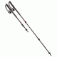 Easton ESS Trekking Poles CTR 70 Ion
