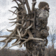 Eberlestock Mainframe Pack, Mossy Oak Brush F1HB