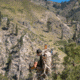 Eberlestock Mainframe Pack, Mossy Oak Brush F1HB