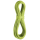 Edelrid Apus Pro Dry Dynamic Rope,7.9mm, Oasis, 70m, 712360701380