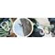 Edelrid HMS Bulletproof Triple FG Carabiners, Non-Anodized Eco, 737280001070