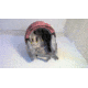 EDEMO Smith Mirage Helmet, Matte Chalk Rose, Medium, E006990QV5559, EDEMO1