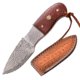 Elk Ridge Drop Point Fixed Blade Knife, 2.25 in, Damascus Steel, Rose Wood, ER-111RDM