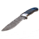 Elk Ridge Drop Point Fixed Blade Knife, 3.75 in, 3Cr13 Stainless Steel Stainless Steel, Blue, ER-200-20BL
