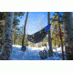 Eno Blaze Underquilt - Downtek Insulated Hammock, Charcoal/Lime A40050