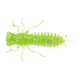 Eurotackle Anisoptera