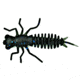 Eurotackle Anisoptera