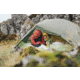 Exped Cassira Tent