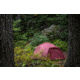 Exped Vega Tent w/ Footprint