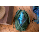 Exped Radical 30 Backpack, Forest, 30 Liter, 7640445453622