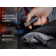Fenix FX-E18RV2 Flashlight