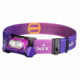 Fenix Lighting HM65R-T V2.0 Lithium Ion 1600 Lumens Headlamp, Nebula, HM65RTV2NE
