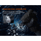 Fenix Lighting TK21R Lithium Ion 3600 Lumens Luminus SFT90 Flashlight, Black, TK21RSFBK