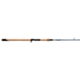 Fenwick Elite Predator Casting Rod