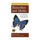 First Guide To Butterflies, Opler &amp; Peterson, Publisher - Houghton Mifflin