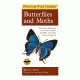 First Guide To Butterflies, Opler &amp; Peterson, Publisher - Houghton Mifflin