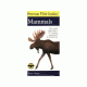 First Guide To Mammals Of N.a., Alden &amp; Peterson, Publisher - Houghton Mifflin