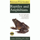 First Guide To Reptiles, Conant, Stebbins, Collins, Publisher - Houghton Mifflin
