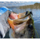 Fitzgerald Fishing F.F Tungsten Worm Weights, Black, 1/8oz, FFWW-1/8OZ