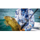 Fitzgerald Fishing Stunner X Series Offshore Rods, X Heavy Spinning, Black, 7ft2in, ST72XHS